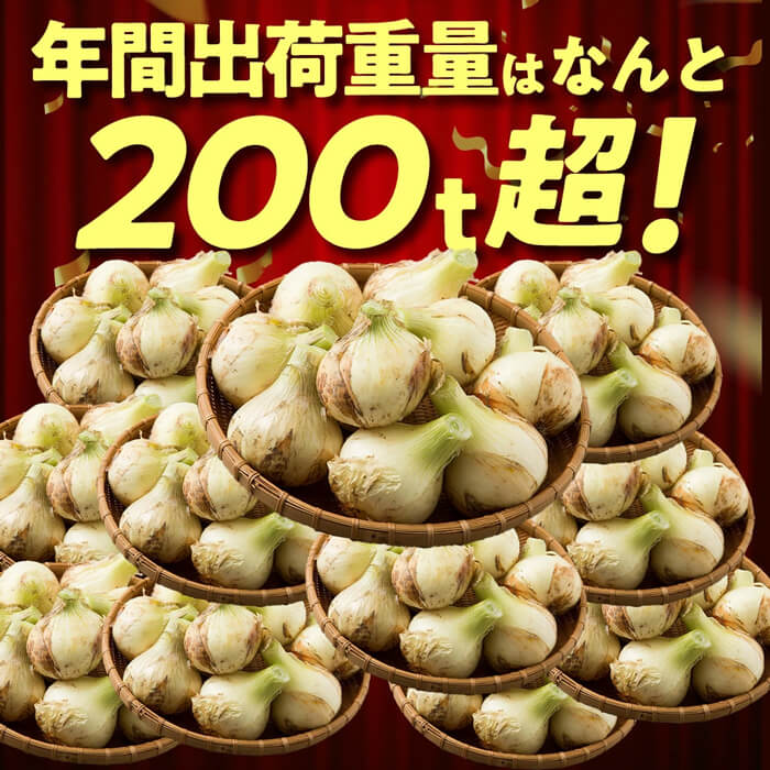【ふるさと納税】今井ファームの淡路島たまねぎ「かくし玉」 2kg～20kg　玉ねぎ オニオン 淡路島産 玉葱 - 画像3