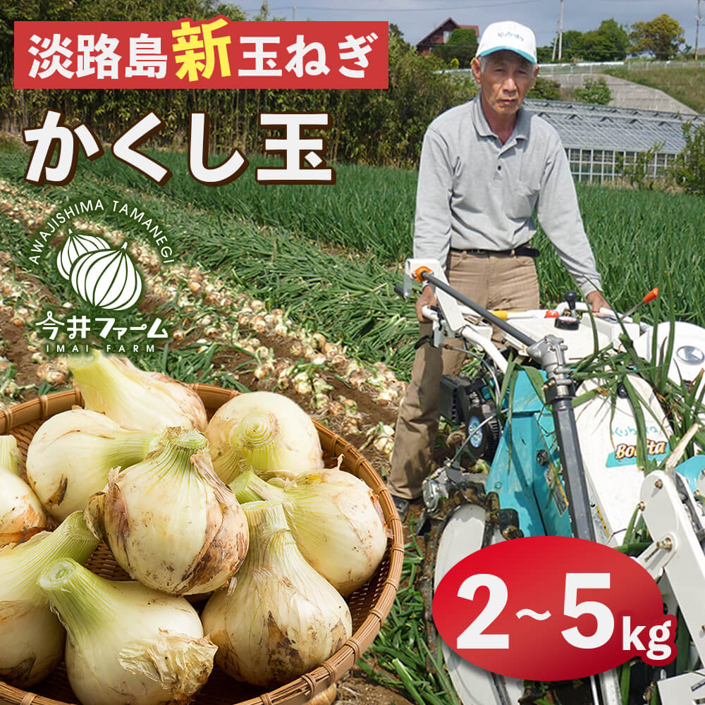 【新たまねぎ】今井ファームの淡路島たまねぎ「かくし玉」 2kg～5kg【発送時期：2026年4月下旬〜5月頃】 新玉ねぎ 玉葱 人気