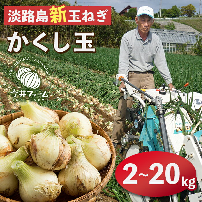 【新たまねぎ】今井ファームの淡路島たまねぎ「かくし玉」 2kg～20kg【発送時期：2026年4月下旬〜5月頃】 玉ねぎ 玉葱 人気 減農薬