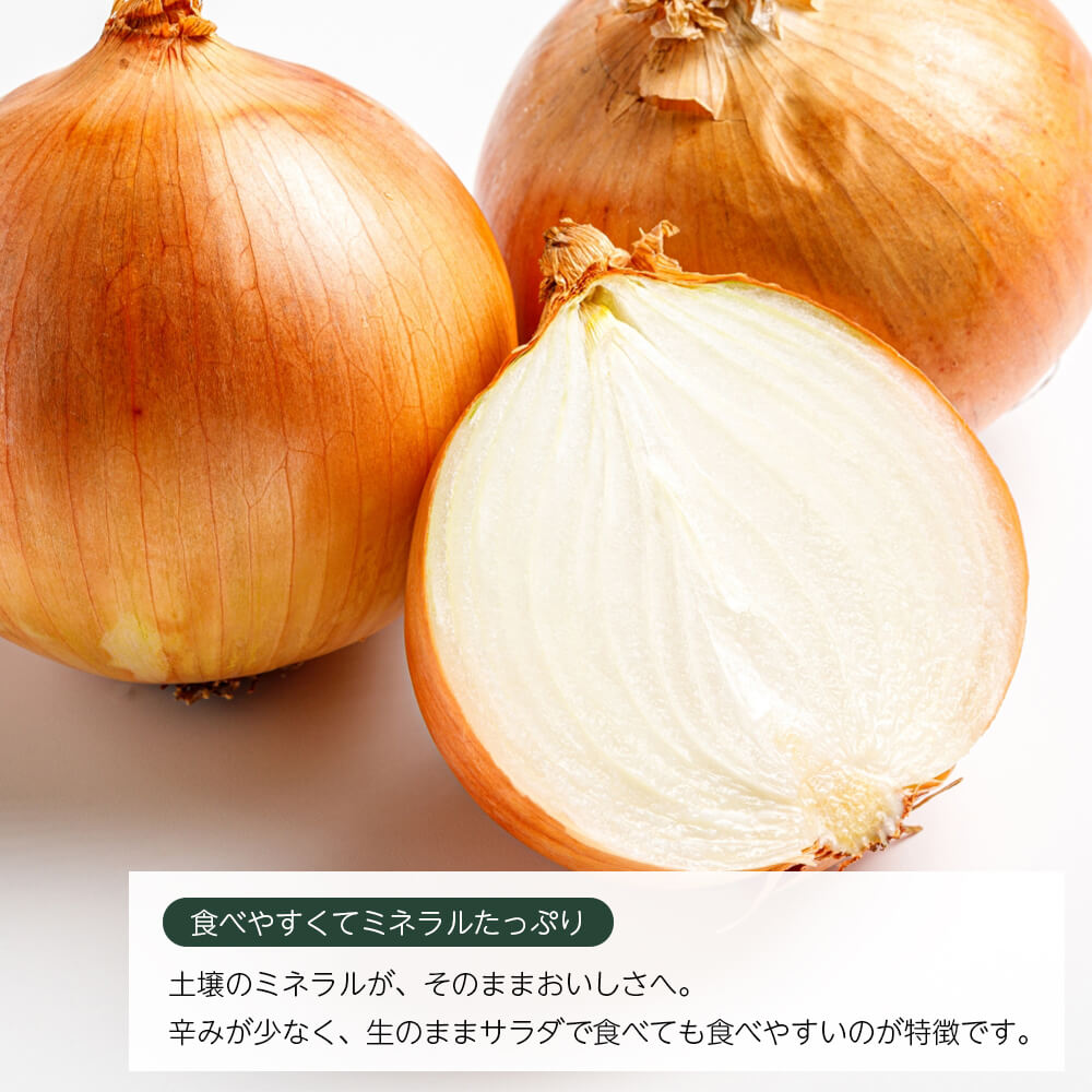 【ふるさと納税】いざなぎ農園の淡路島たまねぎ 10kg 甘い 玉ねぎ 淡路島産 産地直送 - 画像3