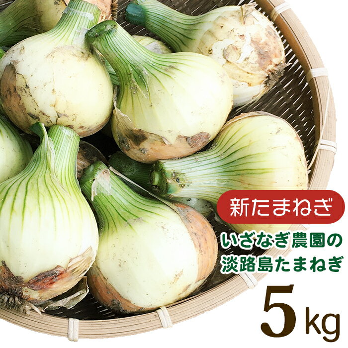 【新たまねぎ】いざなぎ農園の淡路島たまねぎ 5kg【発送時期：2026年5月頃】
