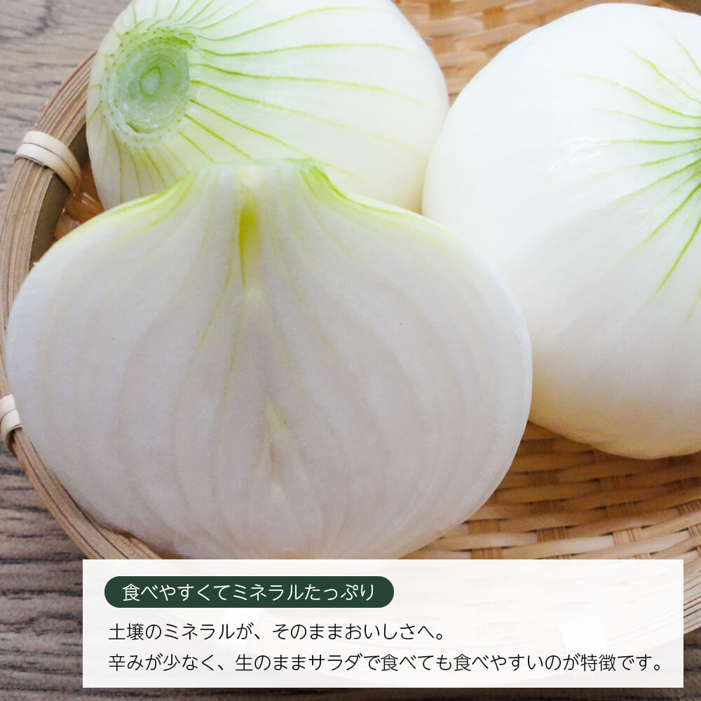 【ふるさと納税】【新たまねぎ】いざなぎ農園の淡路島たまねぎ 5kg【発送時期：2026年5月頃】 - 画像3