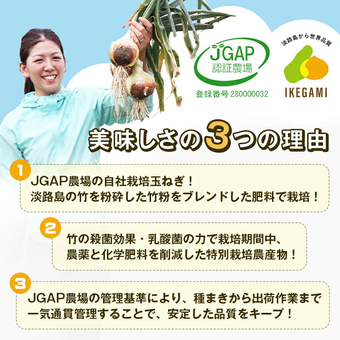 【ふるさと納税】淡路島　池上農場の完熟たまねぎ「あやたけ」5kg・10kg・20kg　[玉ねぎ 淡路島産 甘い オニオン 玉葱] サムネイル2