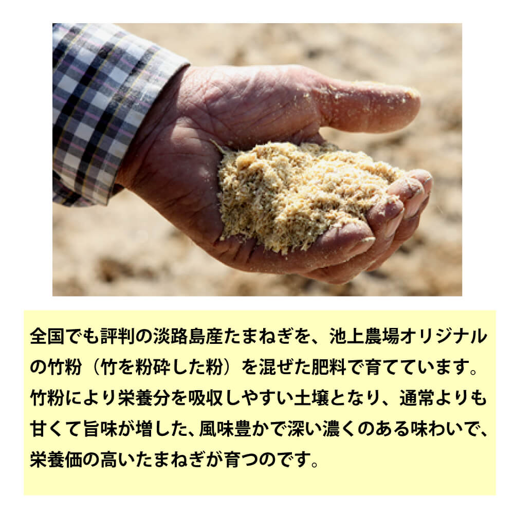 【ふるさと納税】淡路島　池上農場の完熟たまねぎ「あやたけ」5kg・10kg・20kg　[玉ねぎ 淡路島産 甘い オニオン 玉葱] - 画像3