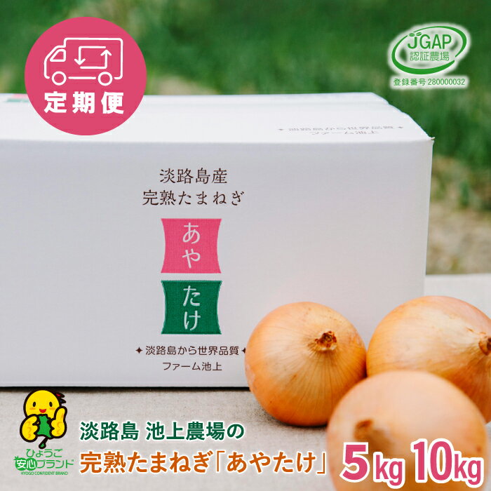 【定期便】淡路島 池上農場の完熟たまねぎ「あやたけ」5kg・10kg　12ヶ月コース