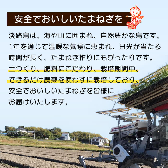 【ふるさと納税】【新たまねぎ】淡路島たまねぎ 大きな2Lサイズ 3kg・5kg・10kg【発送時期：2026年3月中旬～5月頃】 玉ねぎ たまねぎ 大玉 国産 野菜 サラダ用 みずみずしい 甘みたっぷり 産地直送 新鮮 - 画像2