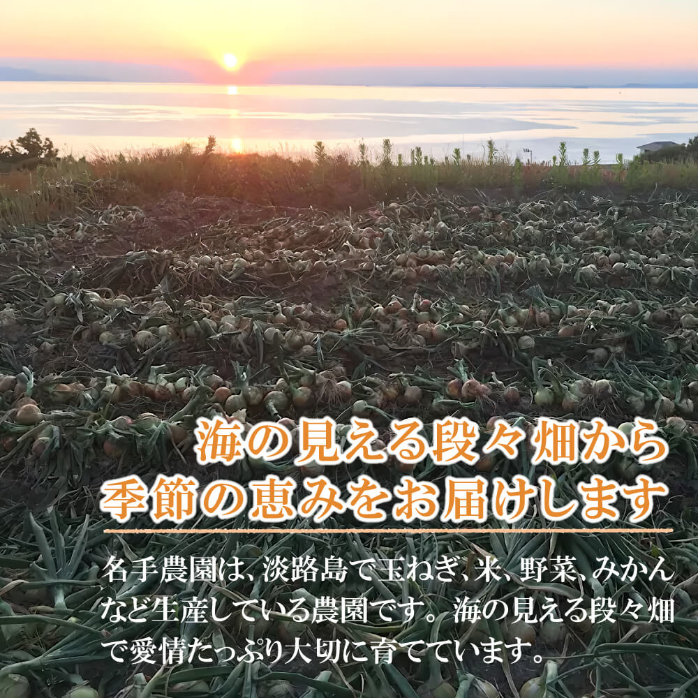 【ふるさと納税】【新たまねぎ】名手農園の淡路島特産玉ねぎ5kg・10kg【発送時期：2026年3月～5月頃】　甘い 玉ねぎ 産地直送 淡路島産 - 画像2
