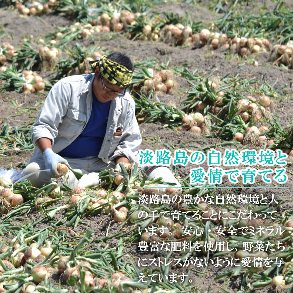【ふるさと納税】名手農園の淡路島特産玉ねぎ(5kg)とお米(3kg) - 画像3