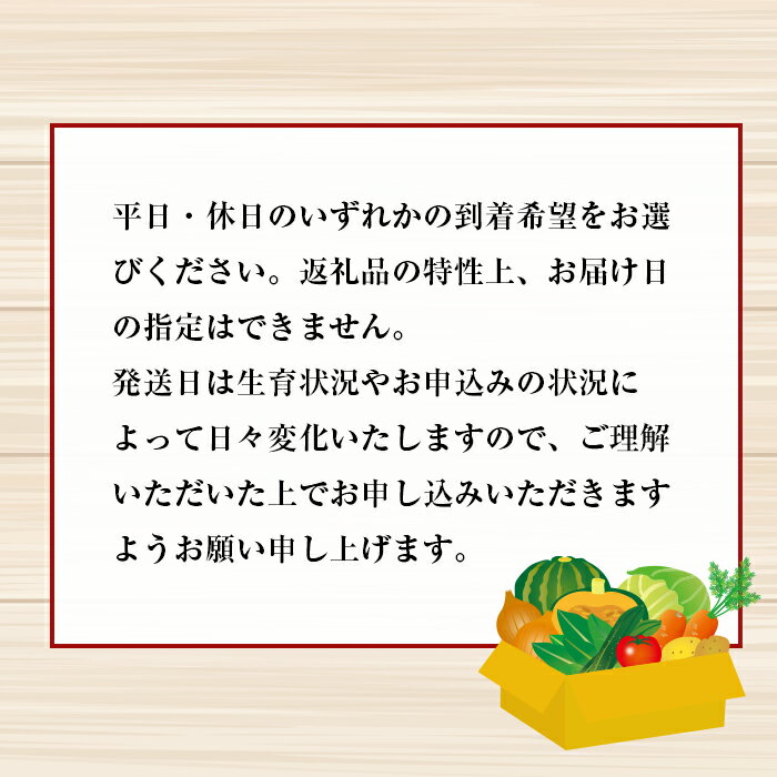 【ふるさと納税】淡路島の新鮮野菜セット【平日・休日お届け】野菜セット 淡路島たまねぎ 野菜詰め合わせ お試し - 画像2