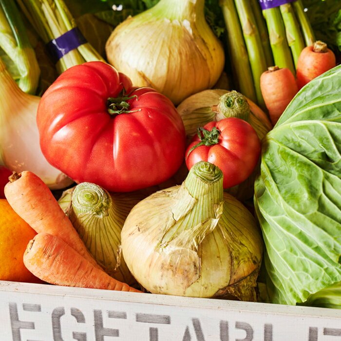 【ふるさと納税】淡路島産野菜定期便3ヶ月～12ヶ月セット【毎月下旬平日・休日お届け】　野菜セット 淡路島たまねぎ 野菜詰め合わせ - 画像3