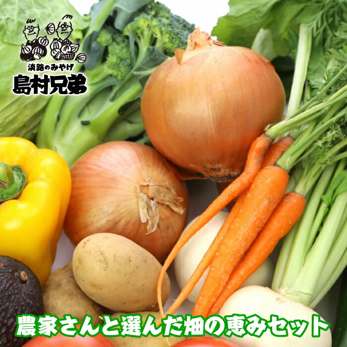 農家さんと選んだ畑の恵みセット　野菜セット 詰め合わせ 国産