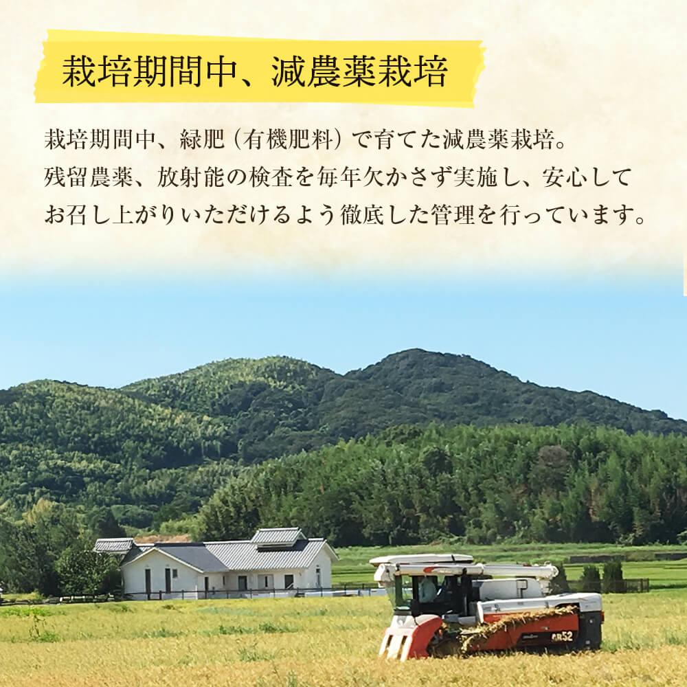 【ふるさと納税】野添農園のキヌヒカリ5kg「ひょうご安心ブランド」 白米 精米 - 画像2