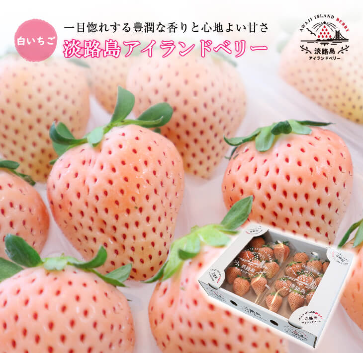 淡路島アイランドベリー 白苺淡雪【2026年2月～4月発送予約受付・お届け日指定不可】