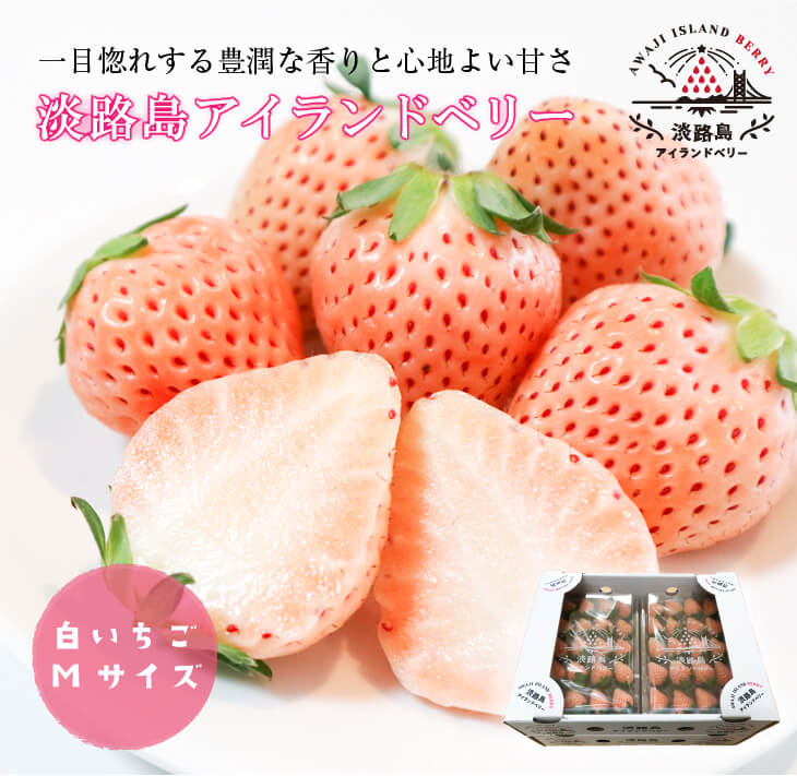 淡路島アイランドベリー 白苺淡雪 Mサイズ【2026年2月～4月発送予約受付・お届け日指定不可】
