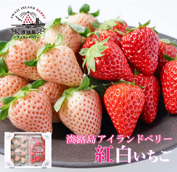 淡路島アイランドベリー　紅白いちご　淡雪/とちおとめ【2026年2月～4月発送予約受付・お届け日指定不可】
