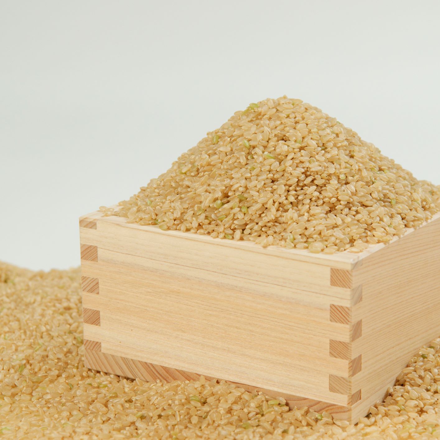 【ふるさと納税】キヌヒカリ 玄米 30Kg【令和7年産】 しそうのおいしい お米 米 コメ I4 - 画像3