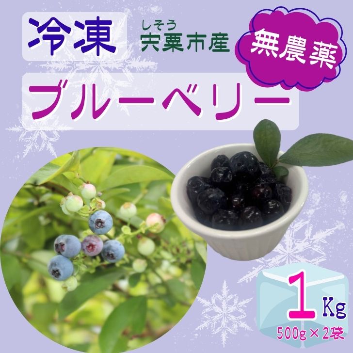 K11　しそうの “ 冷凍 ” ブルーベリー　1kg（500g×2）【 無農薬 冷凍 フローズン アイス ブルーベリー 果物 フルーツ 産地直送 国産 大容量 】