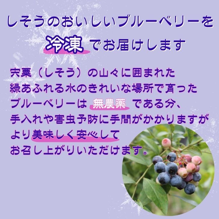 【ふるさと納税】K11　しそうの “ 冷凍 ” ブルーベリー　1kg（500g×2）【 無農薬 冷凍 フローズン アイス ブルーベリー 果物 フルーツ 産地直送 国産 大容量 】 サムネイル2