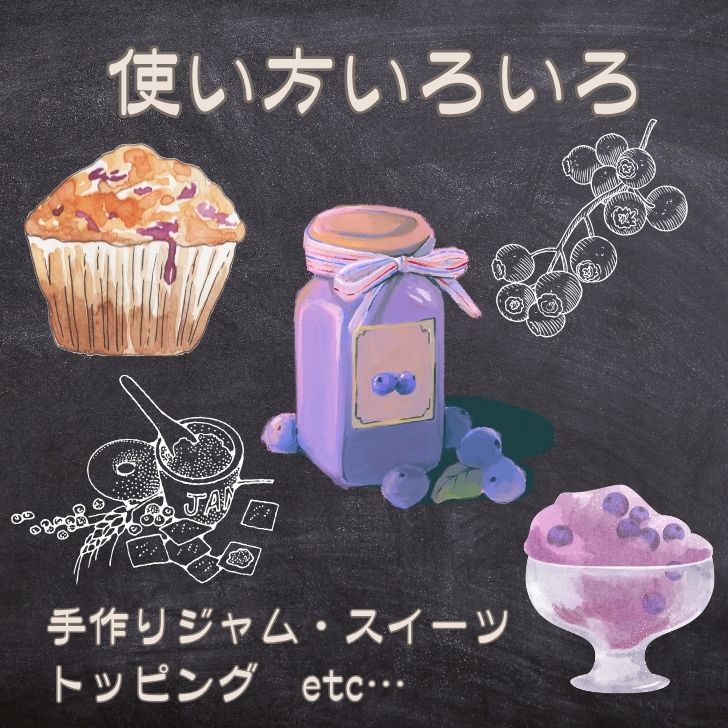 【ふるさと納税】K11　しそうの “ 冷凍 ” ブルーベリー　1kg（500g×2）【 無農薬 冷凍 フローズン アイス ブルーベリー 果物 フルーツ 産地直送 国産 大容量 】 サムネイル3