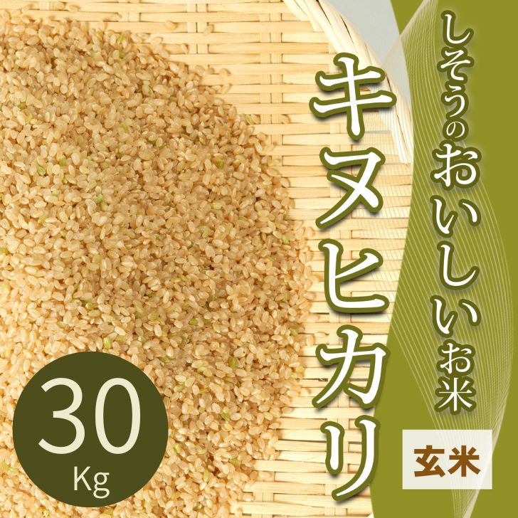 キヌヒカリ 玄米 30Kg【令和7年産】 しそうのおいしい お米 米 コメ I4