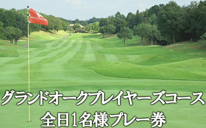 【ふるさと納税】グランドオーク プレイヤーズコース 全日 1名様 プレー券 [ ゴルフ 加東市 兵庫県 関西 ゴルフ場 ] ゴルフ場利用権 サムネイル2