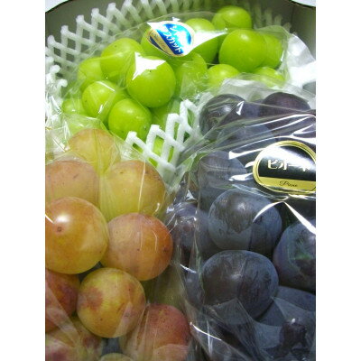 【ふるさと納税】厳選 3種類のぶどう食べ比べセット【配送不可地域：離島・北海道・沖縄県】【1482869】 サムネイル2