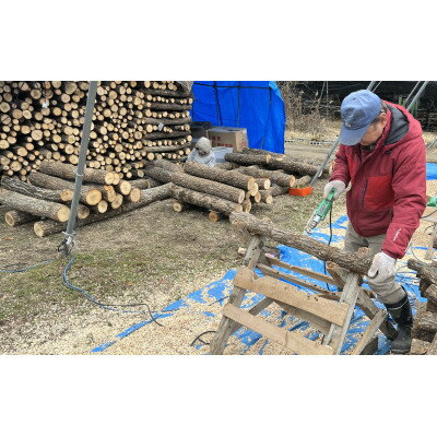 【ふるさと納税】原木しい茸栽培キット【1497851】 サムネイル2