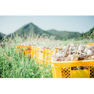 【ふるさと納税】プレミアム有機黒にんにく100g×4セット【1593799】 - 画像3