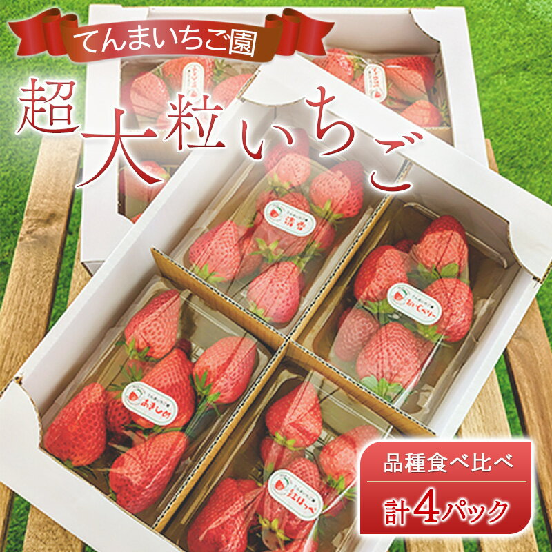 【予約受付】てんまいちご園　超大粒いちご 4パックセット　品種食べ比べボックス　いちご イチゴ 食べ比べ 超大粒 大粒 兵庫県 稲美町 果物類 苺 　お届け：2026年1月～4月下旬頃にお届け