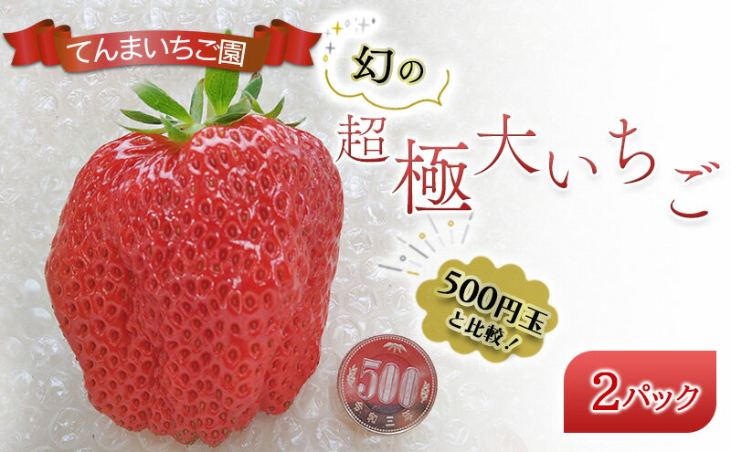 【ふるさと納税】【予約受付】てんまいちご園　幻の超極大いちご 2パック入りボックス　いちご イチゴ 大粒 極大 超極大 兵庫県 稲美町 果物類 苺 　お届け：12月～1月にお届け サムネイル2