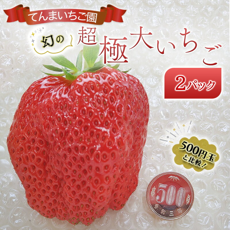 【予約受付】てんまいちご園　幻の超極大いちご 2パック入りボックス　いちご イチゴ 大粒 極大 超極大 兵庫県 稲美町 果物類 苺 　お届け：12月～1月にお届け