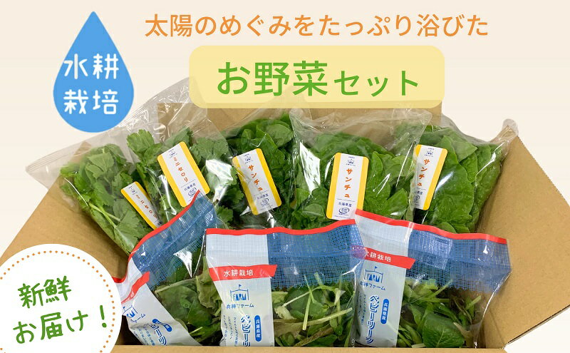 【ふるさと納税】水耕野菜セット（3～5種類10パック程） - 画像2
