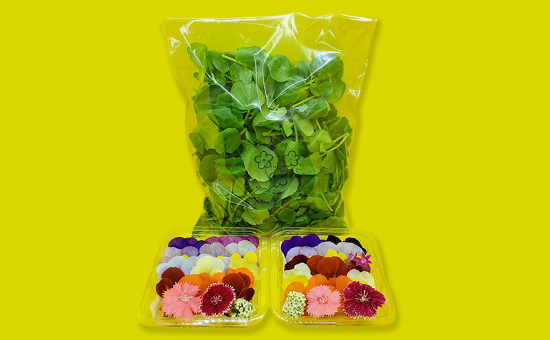 【ふるさと納税】【Aセット】エディブルフラワー(生花20輪)2パック サラダクレソン(80g) 食用花 食べられる花 生け花 誕生日 プレゼント 飾り付け 食用 お菓子【配達不可：離島】 - 画像2