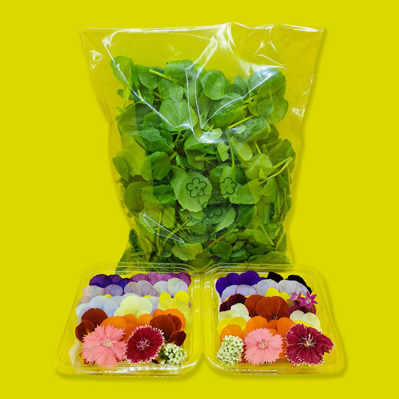 【Aセット】エディブルフラワー(生花20輪)2パック サラダクレソン(80g) 食用花 食べられる花 生け花 誕生日 プレゼント 飾り付け 食用 お菓子【配達不可：離島】