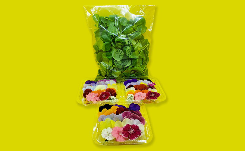 【ふるさと納税】【Bセット】エディブルフラワー(生花20輪)3パック サラダクレソン(80g) 食用花 食べられる花 生け花 誕生日 プレゼント 飾り付け 食用 お菓子【配達不可：離島】 - 画像2