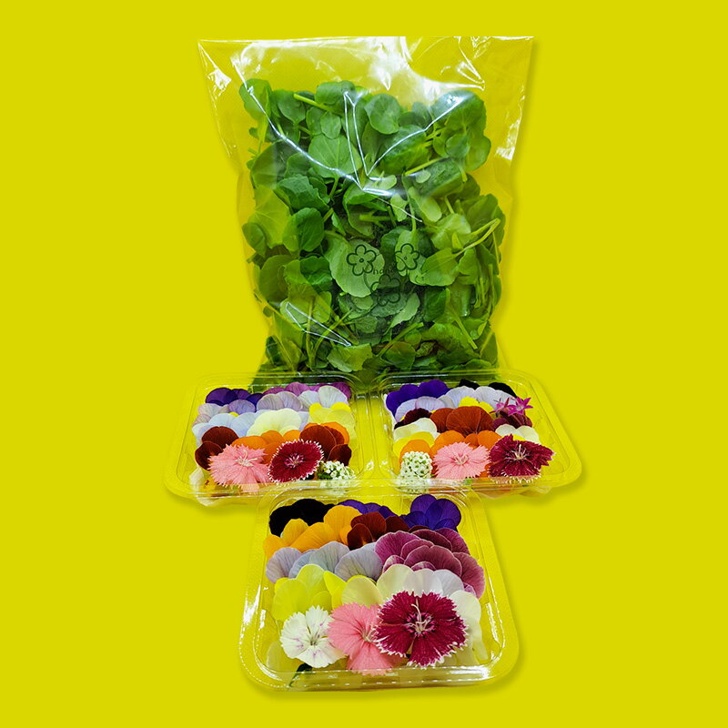 【Bセット】エディブルフラワー(生花20輪)3パック サラダクレソン(80g) 食用花 食べられる花 生け花 誕生日 プレゼント 飾り付け 食用 お菓子【配達不可：離島】