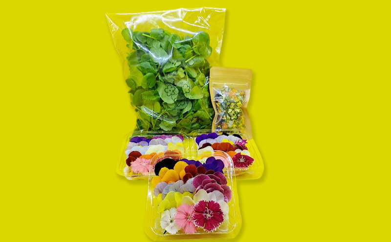 【ふるさと納税】【Cセット】エディブルフラワー(生花20輪)3パック サラダクレソン(80g) エディブルフラワー(ドライ2g) 食用花 食べられる花 生け花 誕生日 プレゼント 飾り付け 食用 お菓子【配達不可：離島】 - 画像2