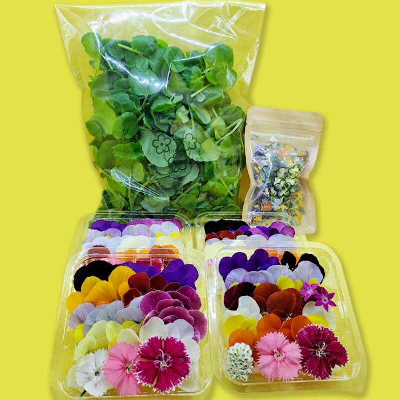 【Dセット】エディブルフラワー(生花20輪)4パック サラダクレソン(80g) エディブルフラワー(ドライ2g) 食用花 食べられる花 生け花 誕生日 プレゼント 飾り付け 食用 お菓子【配達不可：離島】