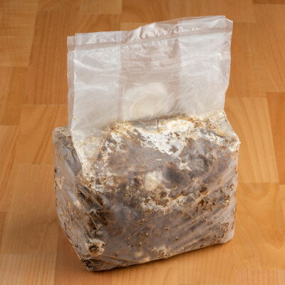 【ふるさと納税】神河しいたけ栽培キット(しいたけ菌床)1個　※10月～4月発送【1355216】 - 画像2