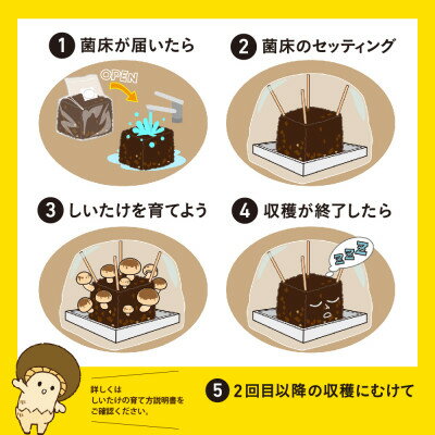 【ふるさと納税】神河しいたけ栽培キット(しいたけ菌床)1個　※10月～4月発送【1355216】 - 画像3