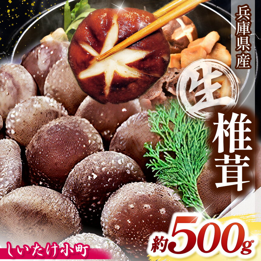 兵庫県産 生椎茸 「しいたけ小町」 約500g | しいたけ シイタケ 椎茸 きのこ キノコ 茸 兵庫県 上郡町