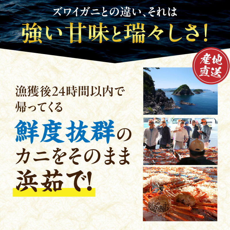 【ふるさと納税】☆高評価レビュー☆ 香住ガニ 甲羅盛り【約70g×5個】 紅ズワイガニ カニ かに 海鮮 カニ味噌 カニみそ 甲羅盛 蟹身 蟹みそ むき身 ほぐし身 棒身 棒肉 蟹 紅ずわいがに かにみそ お祝い 贈答 贈り物 プレゼント ギフト 魚介 兵庫県 香美町 11-15 送料無料 - 画像3
