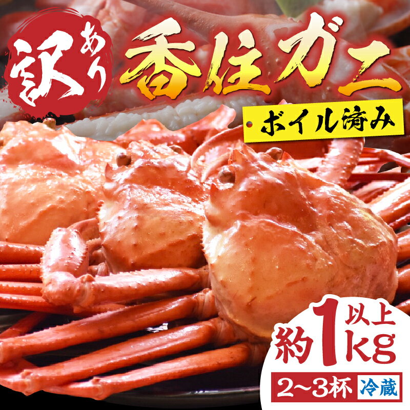 【ふるさと納税】【先行予約】訳あり 香住ガニ 浜茹で 2～3杯 約1kg以上 冷蔵【令和8年1月中旬以降発送予定】蟹 かに カニ ボイル 不揃い 姿 紅ズワイガニ カニすき しゃぶしゃぶ カニ鍋 カニしゃぶ カニ爪 脚 規格外（欠足 傷 足折れ 汚れ）12000円 19-09 送料無料 サムネイル2