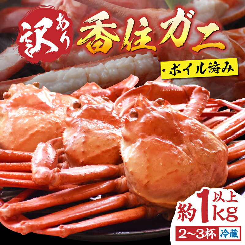 【先行予約】訳あり 香住ガニ 浜茹で 2～3杯 約1kg以上 冷蔵【令和8年1月中旬以降発送予定】蟹 かに カニ ボイル 不揃い 姿 紅ズワイガニ カニすき しゃぶしゃぶ カニ鍋 カニしゃぶ カニ爪 脚 規格外（欠足 傷 足折れ 汚れ）12000円 19-09 送料無料