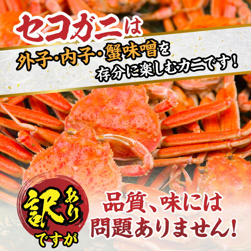 【ふるさと納税】【先行予約】訳あり セコガニ【選べる容量　8匹・10匹】【11月中旬以降】冷凍 内子 外子 釜茹で 冷凍 産地直送 香美町 カニ 松葉ガニ せいこがに メスガニ 親ガニ コッペガニ 日本海フーズ 規格外 欠足 傷 足折れ 汚れなど 送料無料 18000円 20000円 サムネイル3