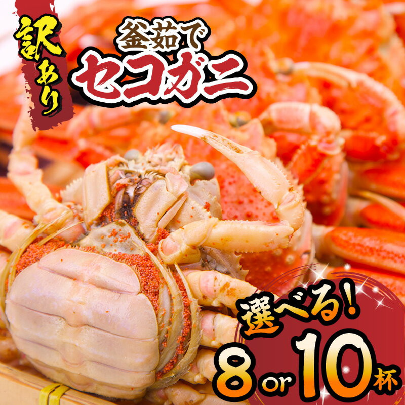 【先行予約】訳あり セコガニ【選べる容量　8匹・10匹】【11月中旬以降】冷凍 内子 外子 釜茹で 冷凍 産地直送 香美町 カニ 松葉ガニ せいこがに メスガニ 親ガニ コッペガニ 日本海フーズ 規格外 欠足 傷 足折れ 汚れなど 送料無料 18000円 20000円