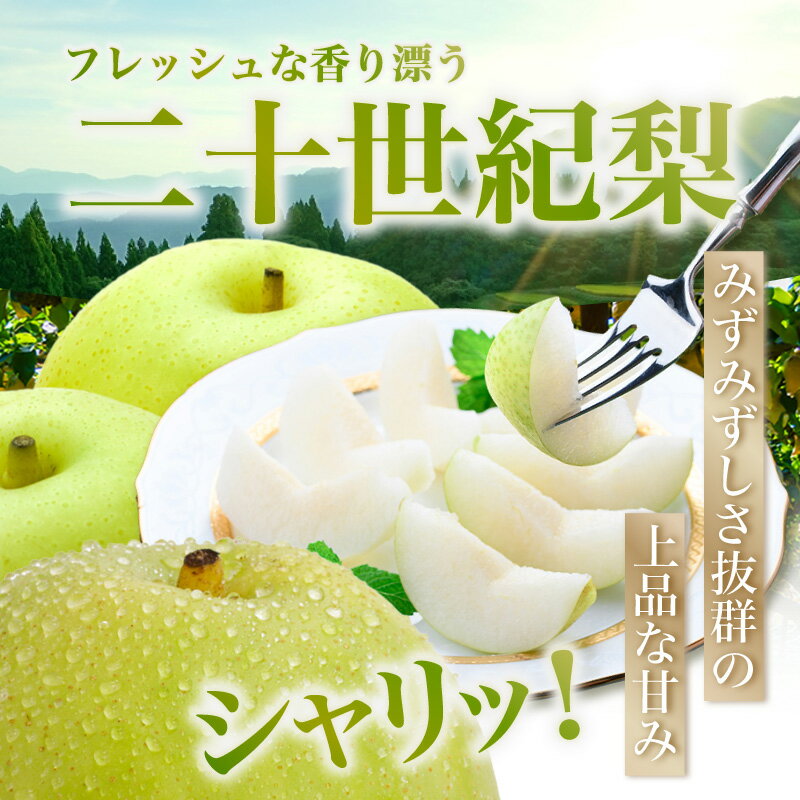 【ふるさと納税】【先行予約】2026年産 TVで紹介 香住産 二十世紀梨 5kg 小さめサイズ（1玉250g～300gを16～20玉） 【令和8年8月下旬以降発送予定】 20世紀 梨 兵庫県香美町で育つ 香住梨 甘い フルーツ くだもの なし ナシ 果物 和梨 家庭用 甘い 先行予約 12-09 送料無料 - 画像3