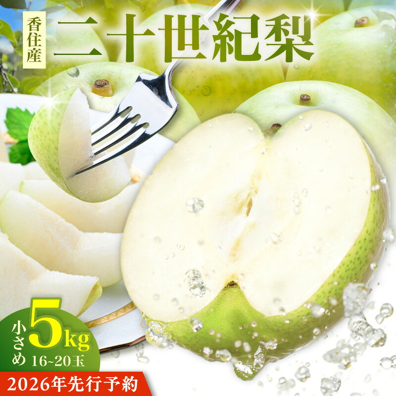 【先行予約】2026年産 TVで紹介 香住産 二十世紀梨 5kg 小さめサイズ（1玉250g～300gを16～20玉） 【令和8年8月下旬以降発送予定】 20世紀 梨 兵庫県香美町で育つ 香住梨 甘い フルーツ くだもの なし ナシ 果物 和梨 家庭用 甘い 先行予約 12-09 送料無料