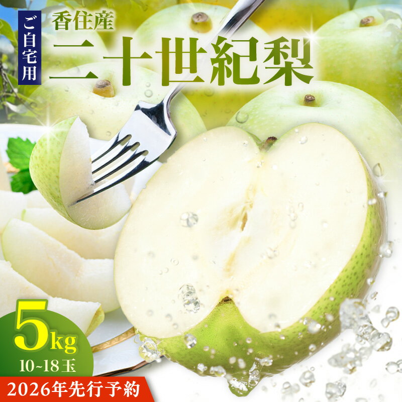 【先行予約】2026年産 TVで紹介 香住産 二十世紀梨 ご自宅用 5kg サイズ L～5L混合（10～18玉） 【令和8年8月下旬以降発送予定】20世紀 梨 不揃い 訳あり 兵庫県香美町で育つ 香住梨 フルーツ くだもの 青梨 和梨 フルーツ くだもの 12-20 送料無料