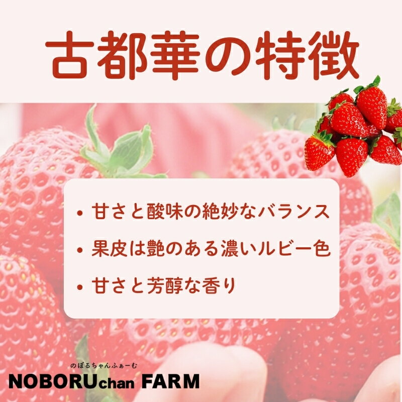 【ふるさと納税】 先行予約 数量限定 いちご 1kg以上 270g × 4P 新鮮 産地直送 厳選 2026年1月以降発送 旬 ブランド イチゴ 苺 古都華 人気 フルーツ 果物 くだもの 国産 限定 ベリー 贈答用 ストロベリー デザート スイーツ ギフト プレゼント 季節 特産品 奈良市 奈良県 サムネイル2